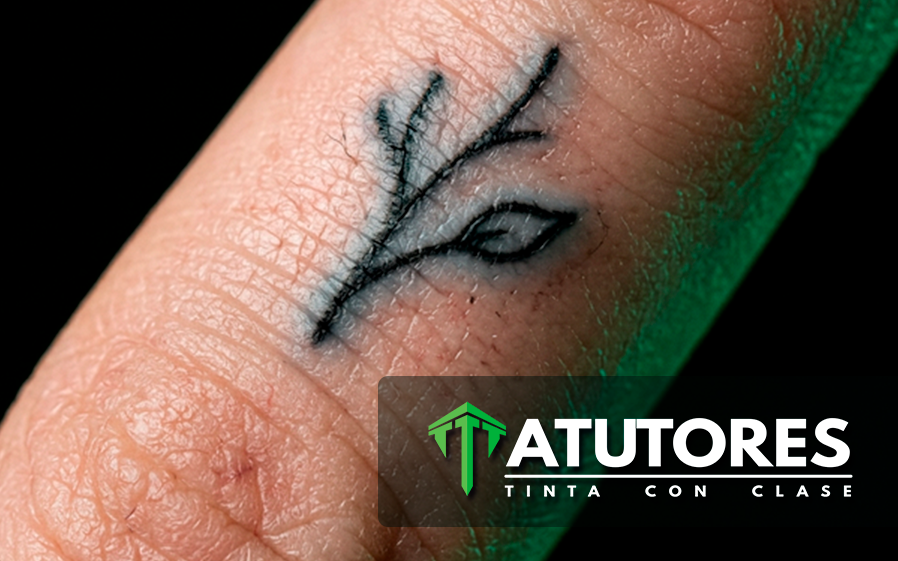 Fotografía de Referencia